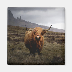 Scottish Highland Cow Fridge Magnet
