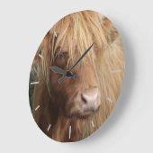 Scottish Highland cow Grote Klok (Hoek)