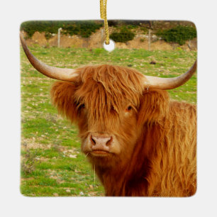 Scottish Highland Cow Keramisch Ornament