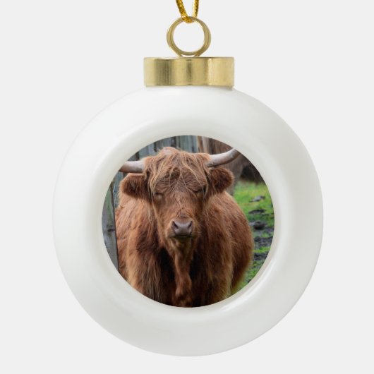 Scottish Highland Cow Keramische Bal Ornament (Voorkant)