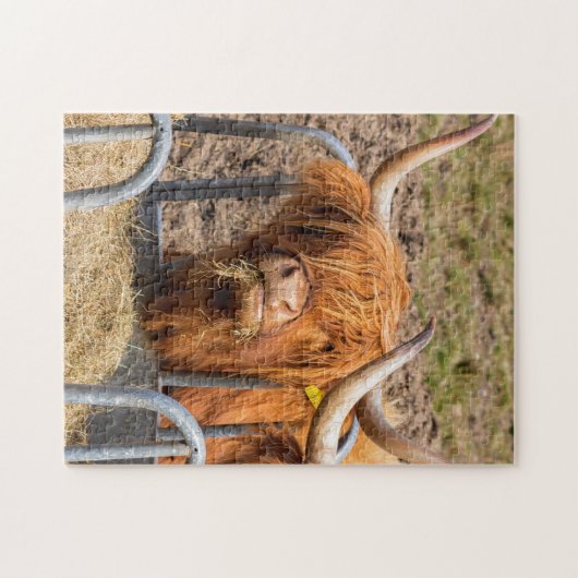 Scottish Highland cow Legpuzzel (Horizontaal)