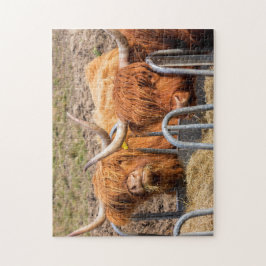 Scottish Highland cow Legpuzzel