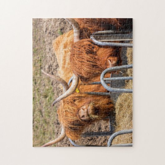 Scottish Highland cow Legpuzzel (Verticaal)