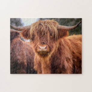 Scottish Highland Cow Legpuzzel
