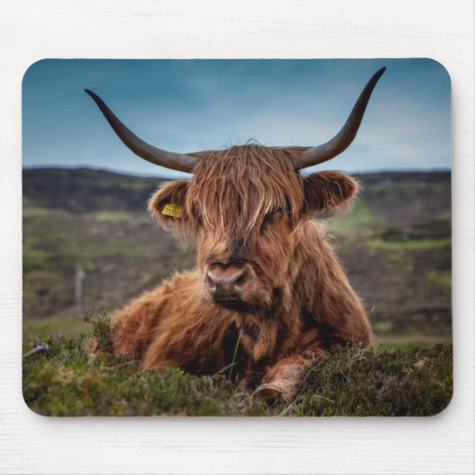 Scottish Highland Cow Longhorn Bull Rancher Muismat (Voorkant)