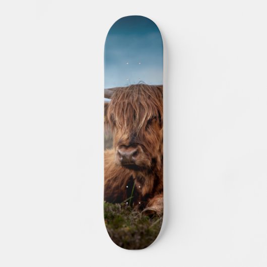 Scottish Highland Cow Longhorn Bull Rancher Skateboard (Voorkant)