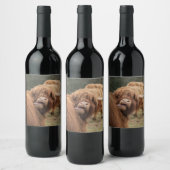 Scottish Highland cow photograph  Wijn Etiket (Flessen)