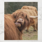 Scottish Highland cow photograph  Wijn Etiket (Enkel label)