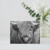 Scottish Highland Cow - Schotland Briefkaart (Staand voorkant)