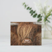 Scottish Highland Cow - Schotland Briefkaart (Staand voorkant)