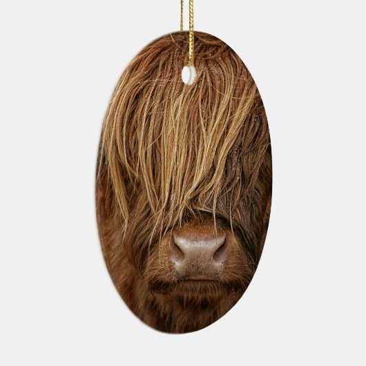 Scottish Highland Cow - Schotland Keramisch Ornament (Rechts)