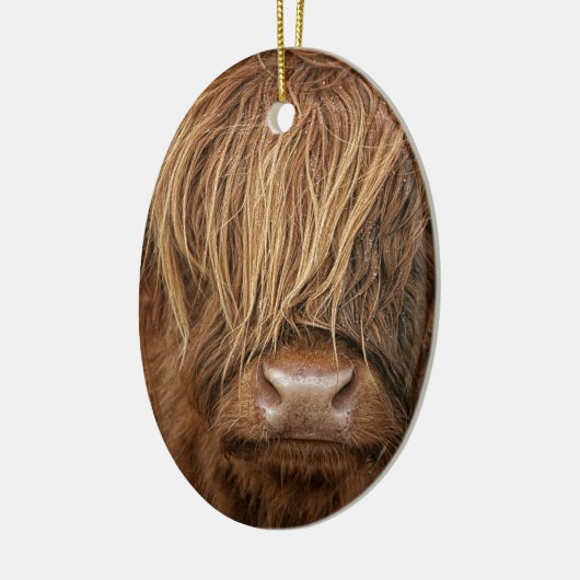 Scottish Highland Cow - Schotland Keramisch Ornament (Links)