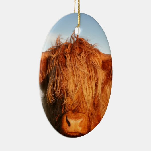 Scottish Highland Cow - Schotland Keramisch Ornament (Rechts)