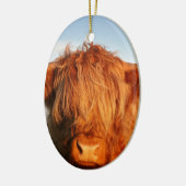 Scottish Highland Cow - Schotland Keramisch Ornament (Links)