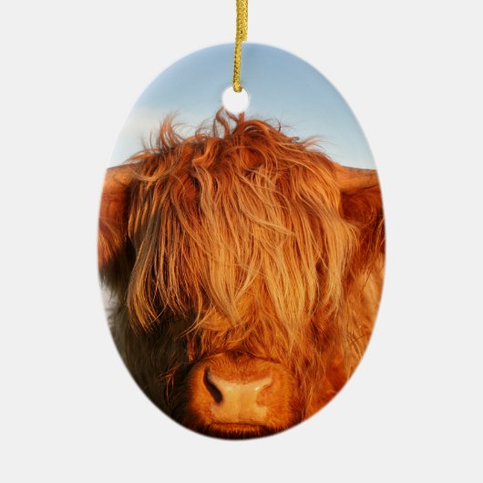 Scottish Highland Cow - Schotland Keramisch Ornament (Voorkant)