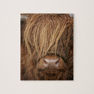Scottish Highland Cow - Schotland Legpuzzel