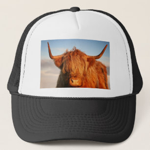 Scottish Highland Cow - Schotland Trucker Pet