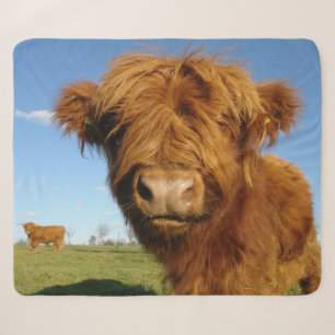 Scottish Highland Cow Sherpa Deken