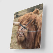 Scottish Highland cow Tile Vierkante Klok (Hoek)