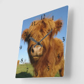 Scottish Highland Cow Vierkante Klok (Hoek)