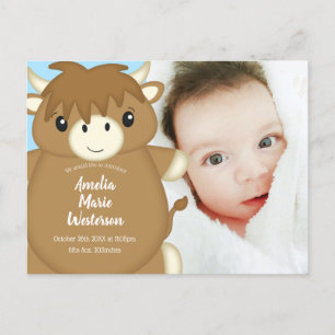 Scottish Highland Koe Baby shower Blue Briefkaart