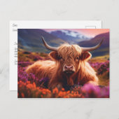Scottish Highland Koe Briefkaart (Voorkant / Achterkant)