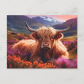 Scottish Highland Koe Briefkaart (Voorkant)