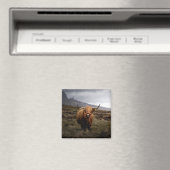 Scottish Highland Koe Fridge Magnet (Insitu (Vaatwasser))