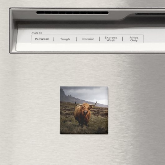 Scottish Highland Koe Fridge Magnet (Insitu (Vaatwasser))
