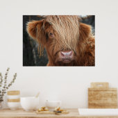 Scottish Highland Koe, Highlander, Schotland Poster (Keuken)