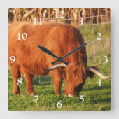 Scottish Highland Koe Square Wall klok (Voorkant)