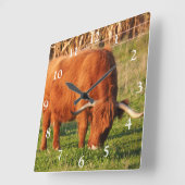 Scottish Highland Koe Square Wall klok (Hoek)