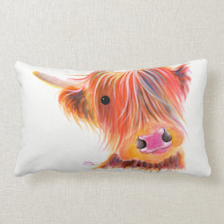 Scottish Highland Koe " SWEET SATSUMA " van Shirle Kussen