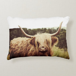 Scottish Highland Long Hazard Cow Accent Kussen