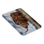 Scottish Highland longhair Magneet (Rechterzijde)