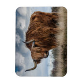 Scottish Highland longhair Magneet (Verticaal)