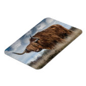 Scottish Highland longhair Magneet (Linkerzijde)