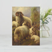 Scottish Highland Sheep Feestdagenkaart (Staand voorkant)