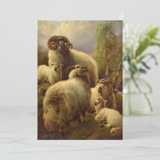 Scottish Highland Sheep Feestdagenkaart (Staand voorkant)