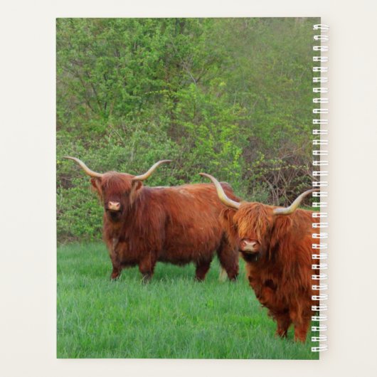 Scottish Highland Steer Planner (Achterkant)