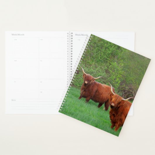 Scottish Highland Steer Planner (Display)