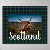 Scottish Highland Steer Poster (Voorkant)