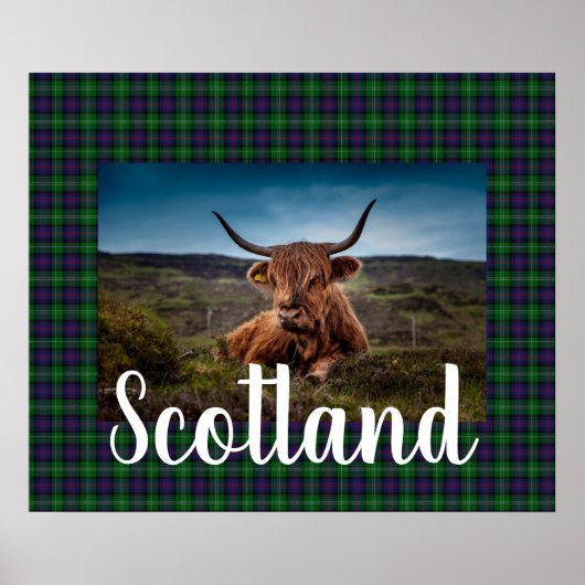 Scottish Highland Steer Poster (Voorkant)