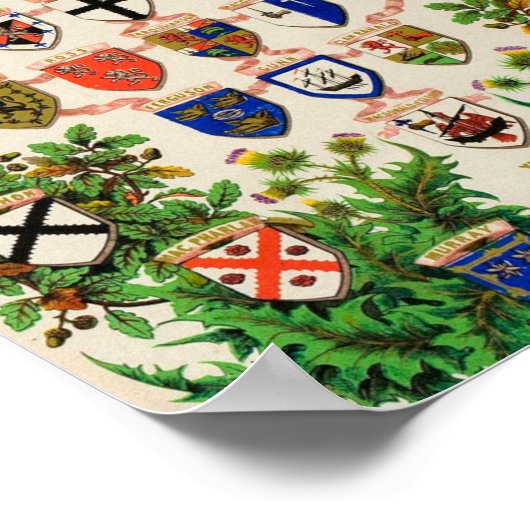 Scottish Highlander Clan Coat of Arms Shields Poster (Hoek)