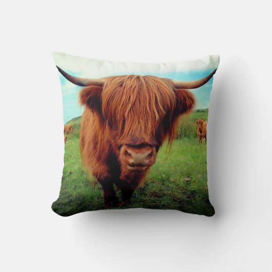 Scottish Highlander Cow Kussen (Voorkant)