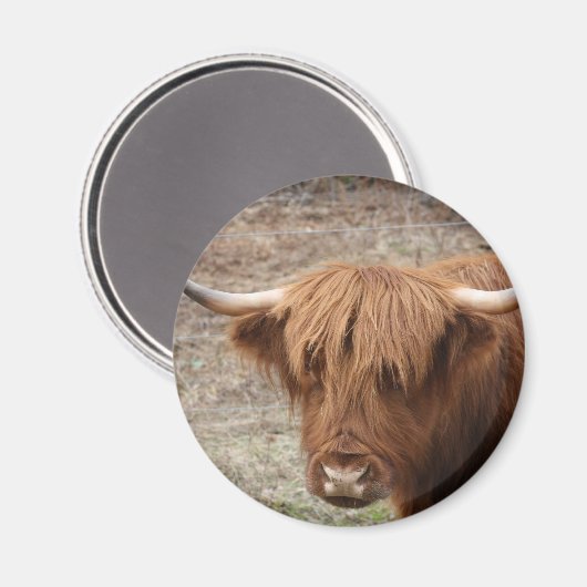 Scottish Highlander Magneet (Voorkant / Achterkant)