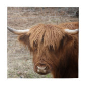 Scottish Highlander Tegeltje (Voorkant)