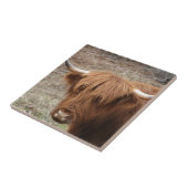 Scottish Highlander Tegeltje (Zijkant)