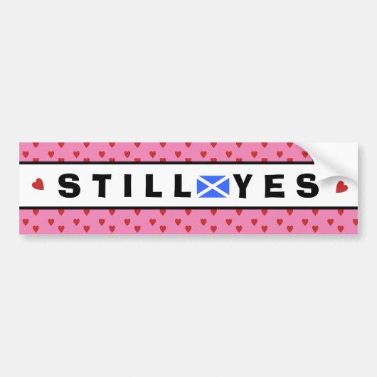 Scottish Independence Pink nog steeds ja Bumpersticker (Voorkant)