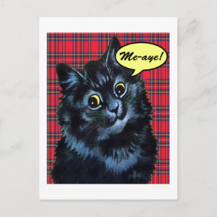 Scottish Independence Tartan Cat Lover Briefkaart